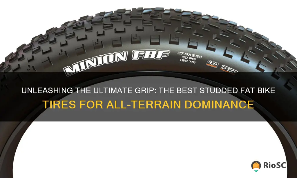 best studded fat bike tires