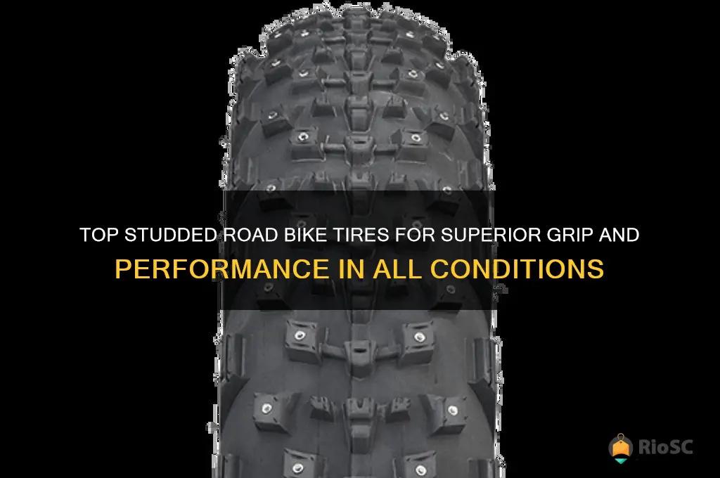 best studded road bike tires