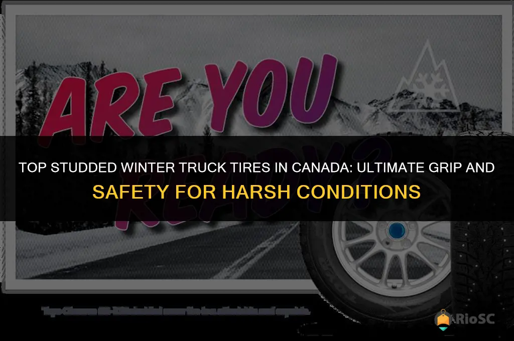 best studded winter truck tires canada