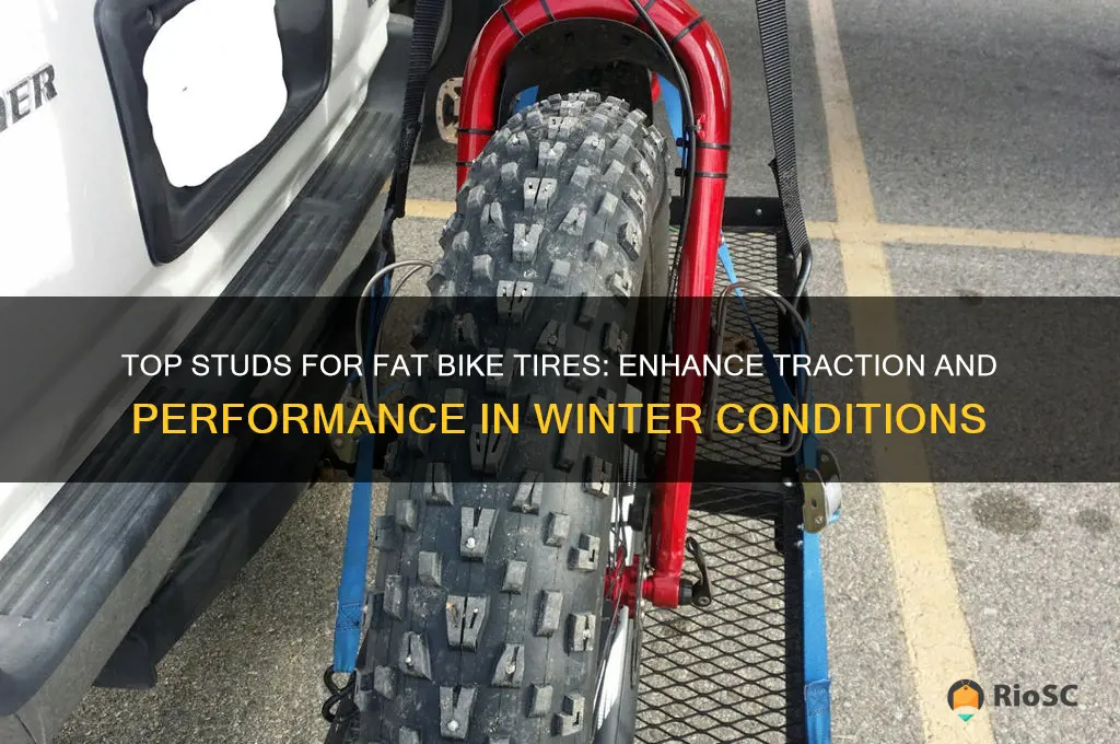 best studs for fat bike tires