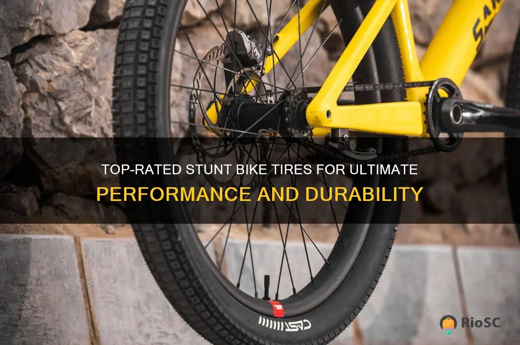 best stunt bike tires