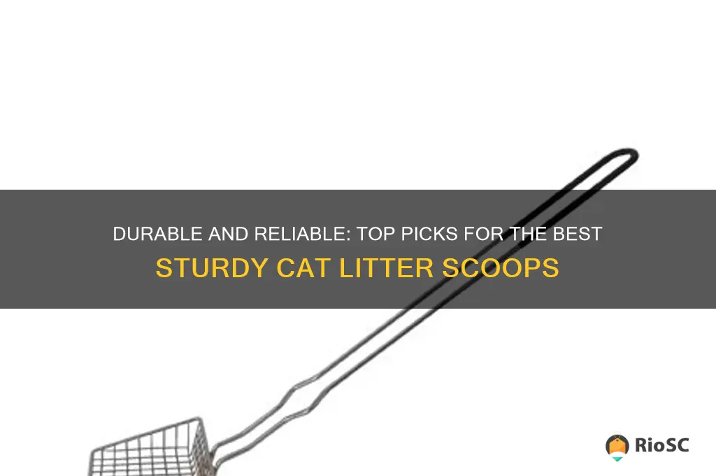best sturdy cat litter scoops