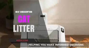 Purr-fectly Clean: Top Subscription Cat Litter Options for Hassle-Free Pet Care