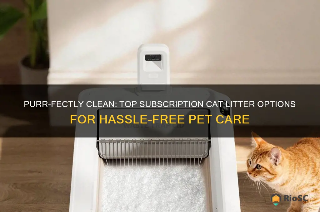 best subscription cat litter