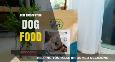 Top Picks for Your Furry Friend: The Best Subscription Dog Food Services of 2024