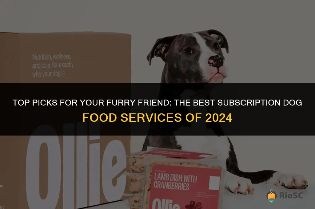 best subscription dog food