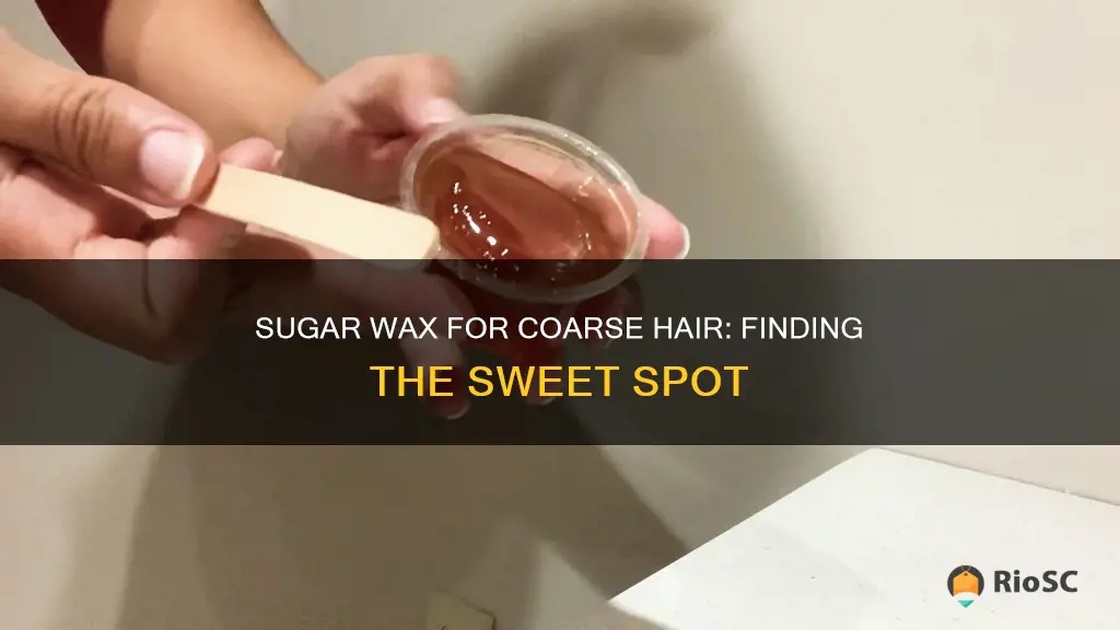 best sugar wax for coarse hair