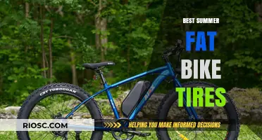 Top Summer Fat Bike Tires for Ultimate Performance and Grip