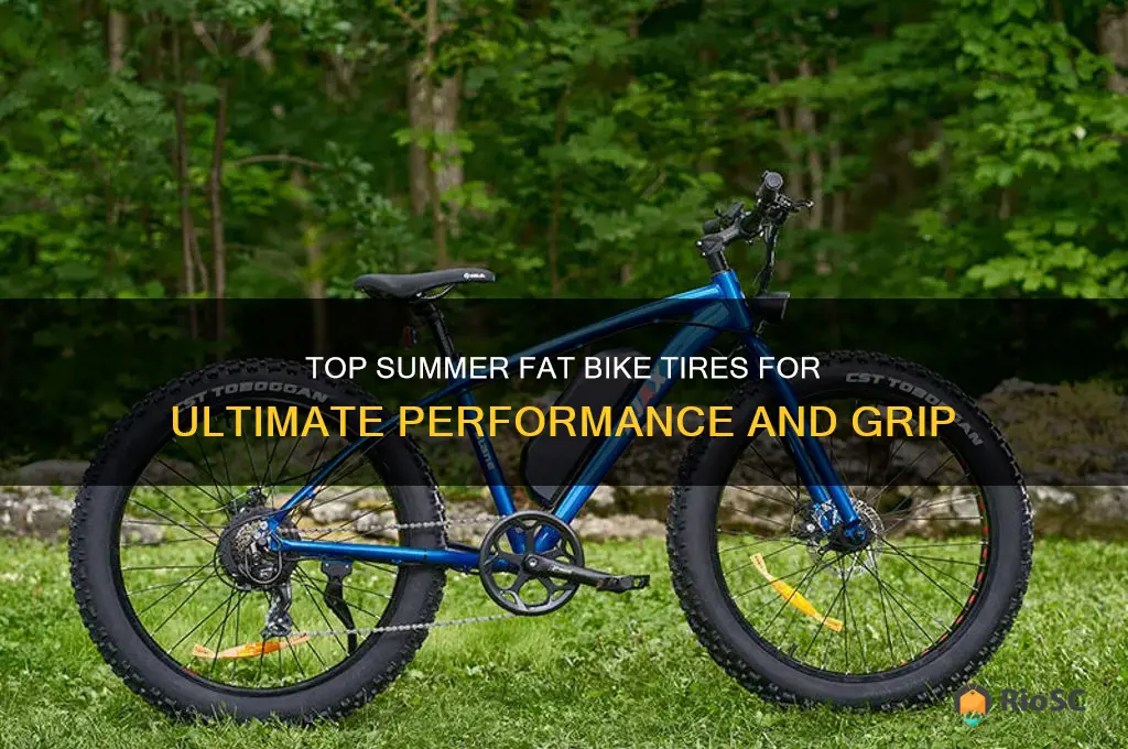 best summer fat bike tires