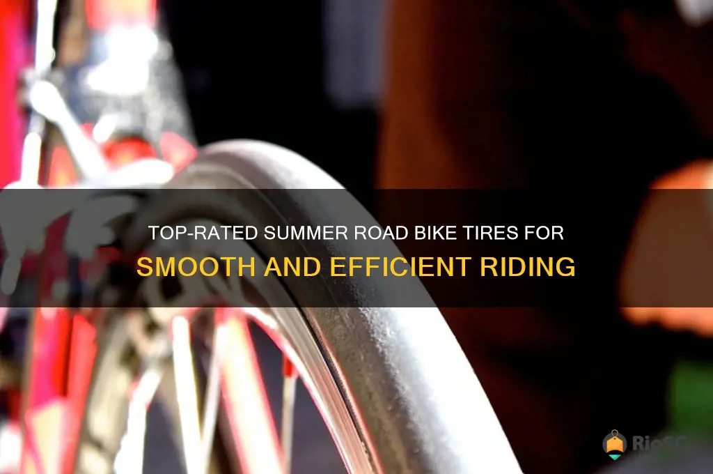 best summer road bike tires