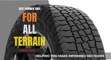 Summer's Best All-Terrain Tire Options: Versatile Performance for Adventurous Drivers