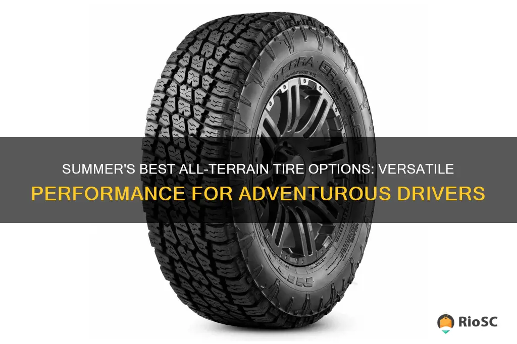 best summer tires for all terrain