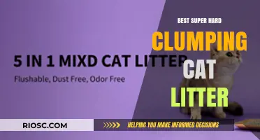 Top Picks for Super Hard Clumping Cat Litter: Keep Your Home Clean and Odor-Free