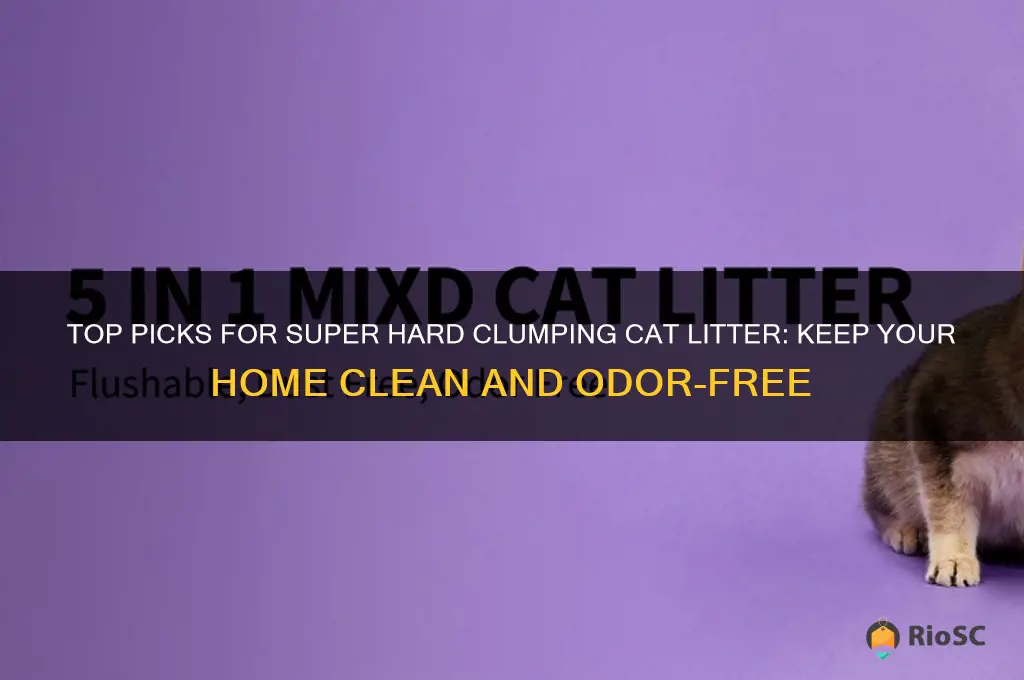 best super hard clumping cat litter