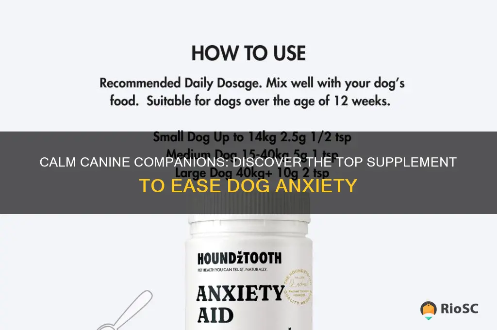 Photo inspiration: Fresh Look at Calm Canine Companions Discover The Top Supplement To Ease Dog