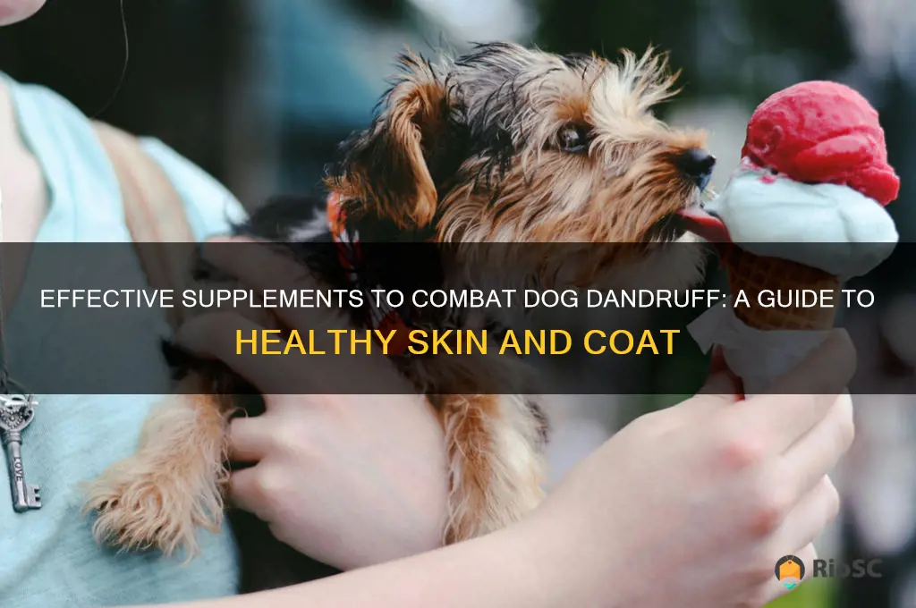 best supplement for dog dandruff