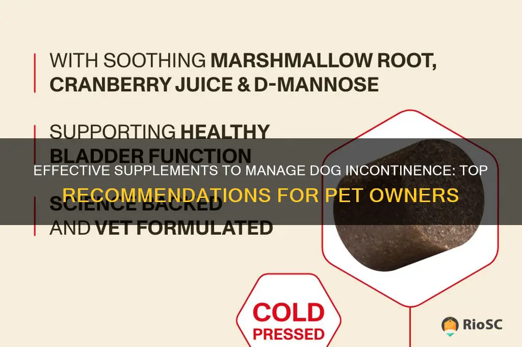 best supplement for dog incontinence