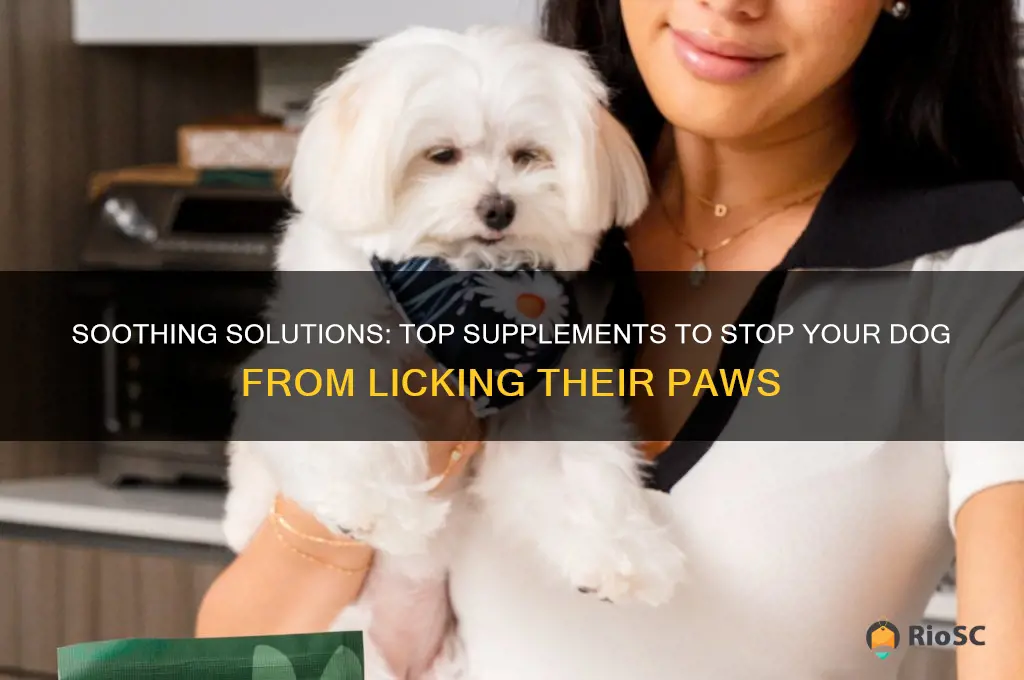 best supplement for dog licking paws