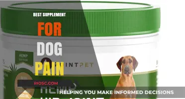 Effective and Safe Supplements to Alleviate Your Dog's Pain: A Comprehensive Guide