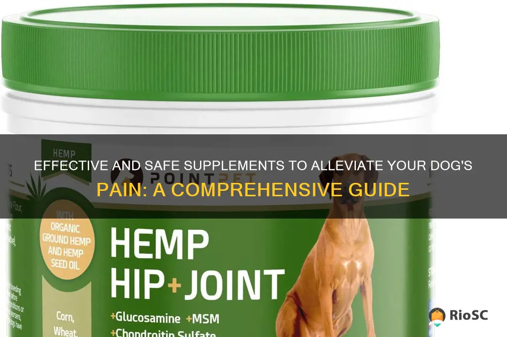best supplement for dog pain