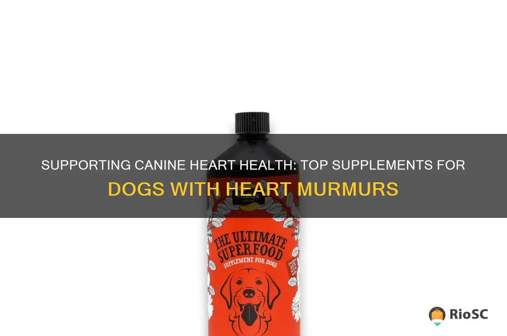 best supplement for dog with heart murmur