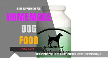 Essential Supplements to Enhance Your Homemade Dog Food for Optimal Health