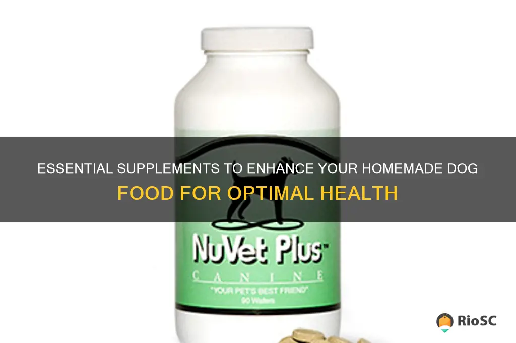 best supplement for homemade dog food