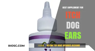Effective Supplements to Soothe Your Dog's Itchy Ears: Top Picks for Relief