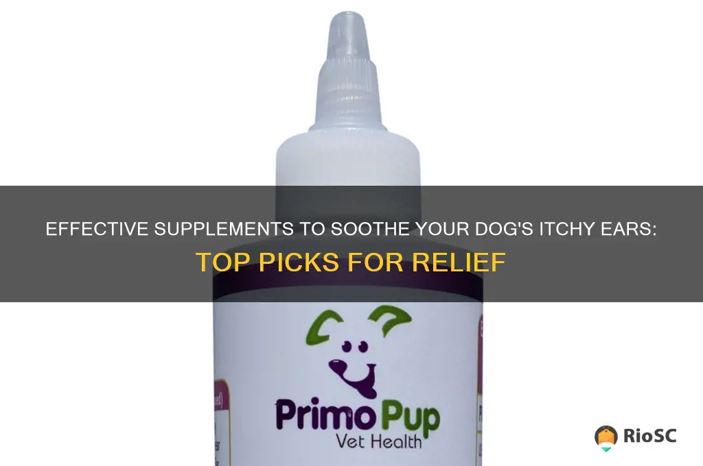 best supplement for itch dog ears