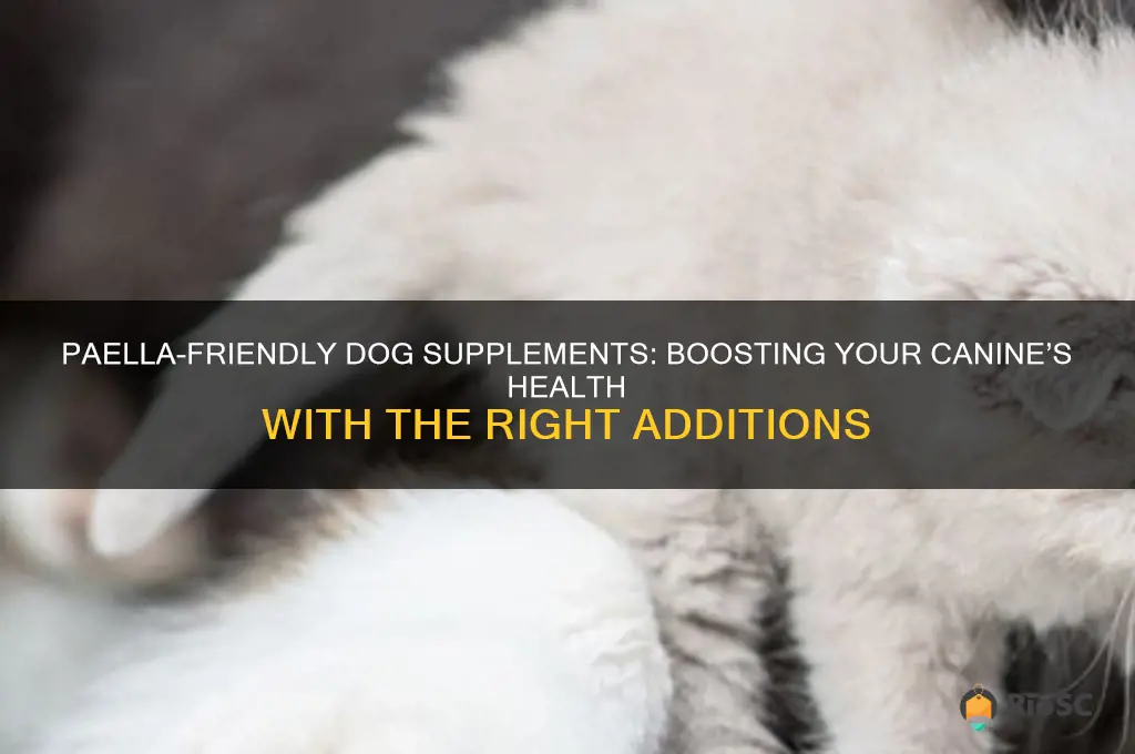 best supplement for my dog with paella