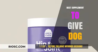 Top Dog Supplements: Boosting Your Pet's Health and Vitality