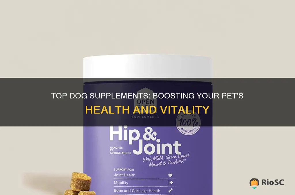 best supplement to give dog