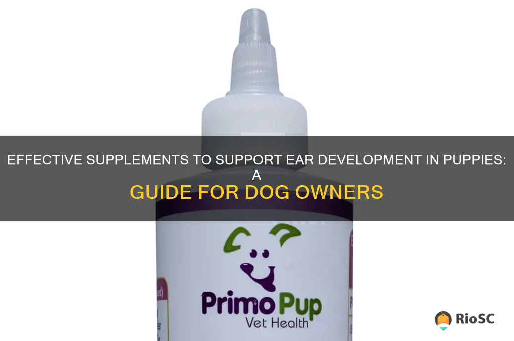 best supplement to help dog ears come up