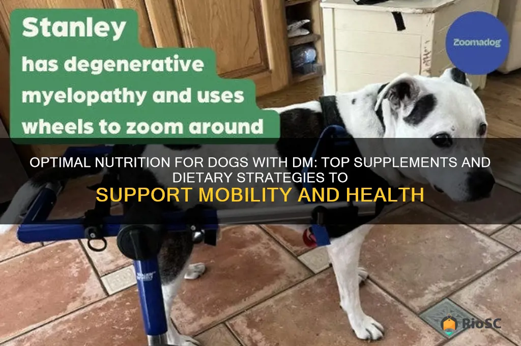 best supplements and diet for dog with dm