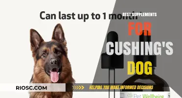 Effective Supplements to Support Dogs with Cushing's Disease: A Comprehensive Guide