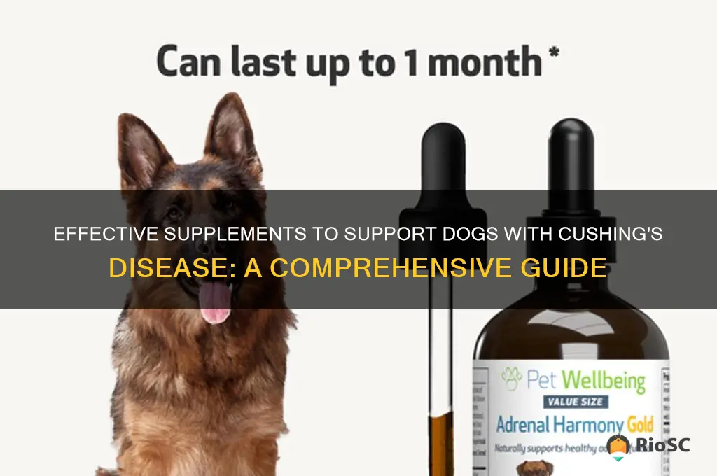 best supplements for cushing