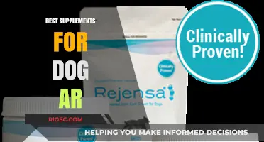 Top Supplements to Support Your Dog's Joint Health and Mobility