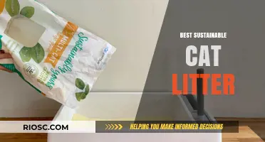 Eco-Friendly Paws: Discover the Best Sustainable Cat Litter Options for Your Feline Friend