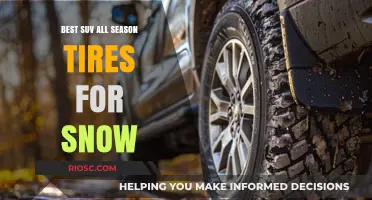 Top-Rated All-Season SUV Tires for Snow: Stay Safe and Stylish on the Road