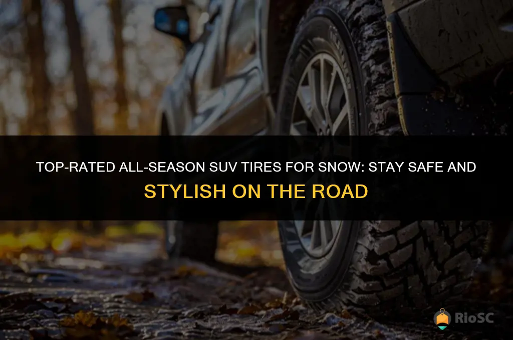 best suv all season tires for snow