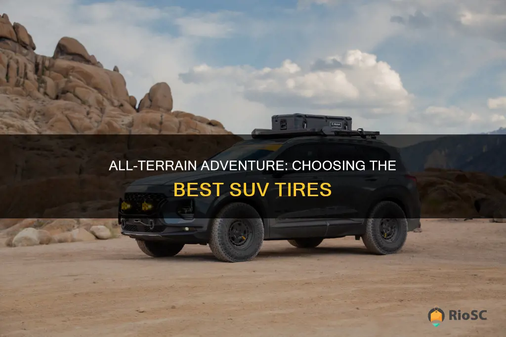 best suv all terrain tires