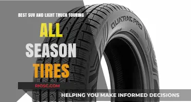 Top-Rated All-Season Tires for SUVs and Light Trucks: Ultimate Touring Performance