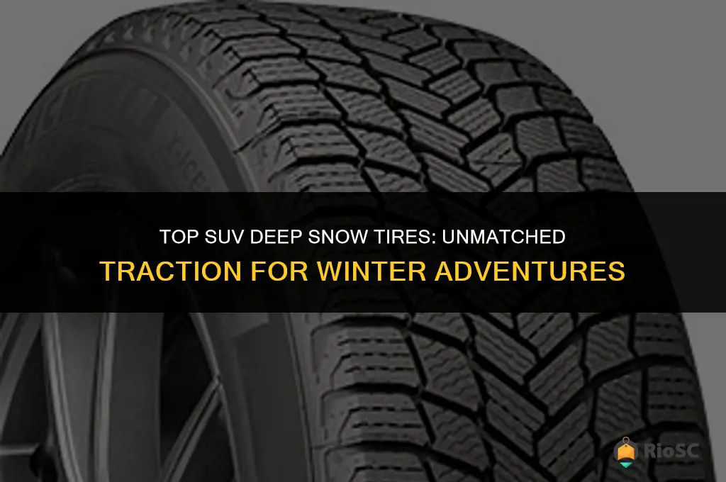 best suv deep snow tires