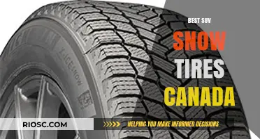 Top SUV Snow Tires for Canadian Winters: Stay Safe and Mobile