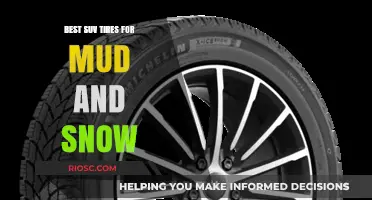 Conquer Any Terrain: Top SUV Tires for Mud and Snow Performance