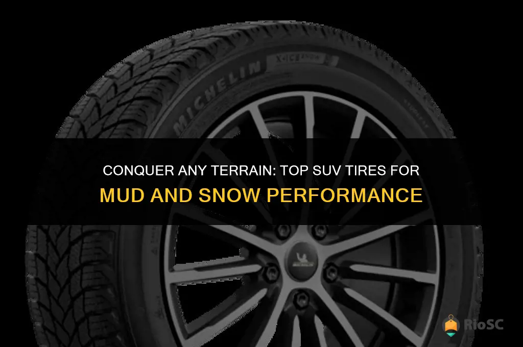 best suv tires for mud and snow