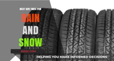 Top-Rated SUV Tires for All-Weather Performance: Rain and Snow Ready