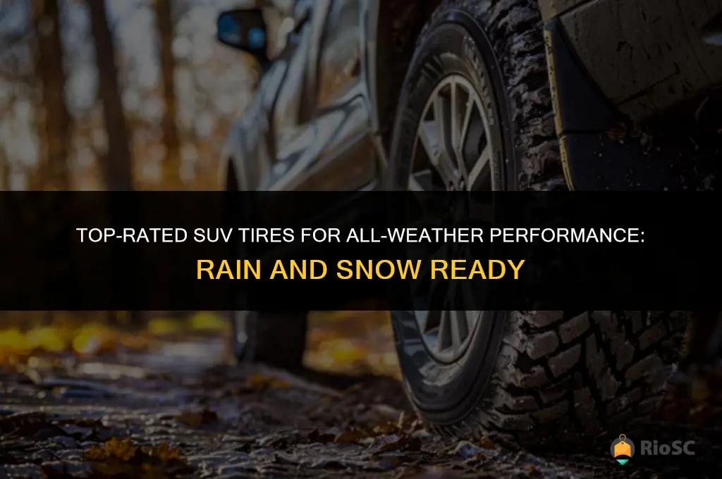 best suv tires for rain and snow