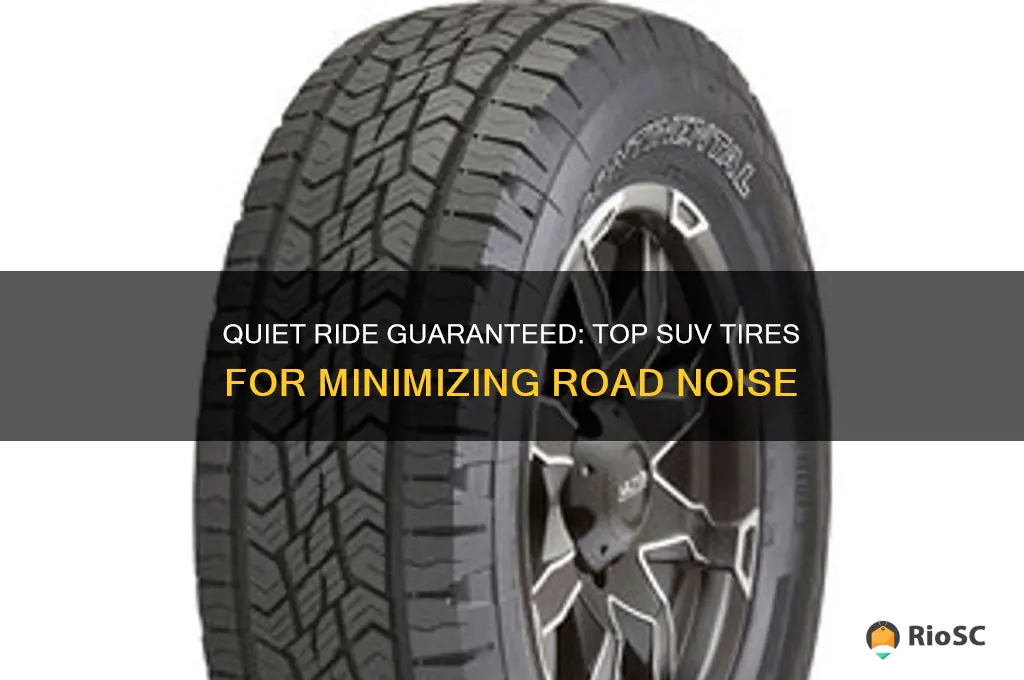 best suv tires for road noise