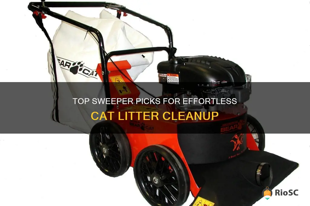 best sweeper to pick up cat litter